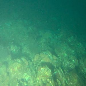 Meet your Posher, Otis